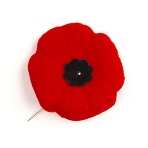 Image of a Poppy Pin